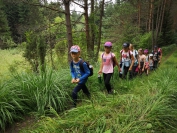 IMG_20190729_111600_1